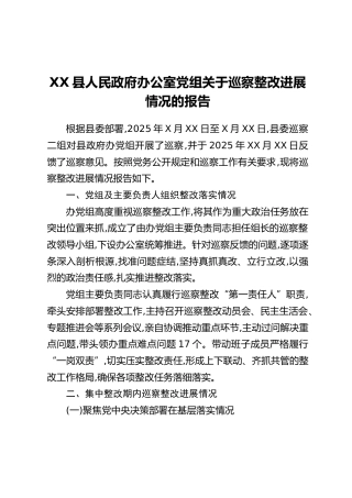XX县人民政府办公室党组关于巡察整改进展情况的报告