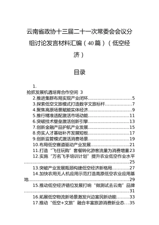 云南省政协十三届二十一次常委会会议分组讨论发言材料汇编（40篇）（低空经济）