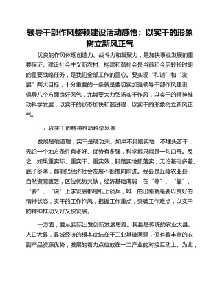 领导干部作风整顿建设活动感悟：以实干的形象树立新风正气