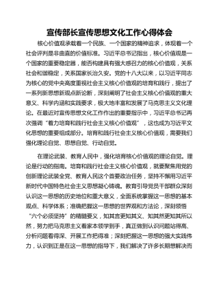 宣传部长宣传思想文化工作心得体会