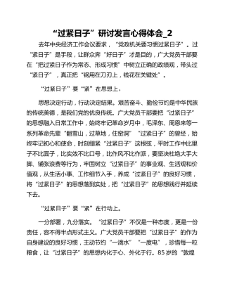 “过紧日子”研讨发言心得体会_2