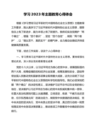 学习2023年主题教育心得体会