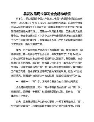 县发改局局长学习全会精神感悟