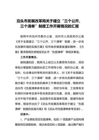 泊头市发展改革局关于建立“三个公开、三个清单”制度工作开展情况的汇报