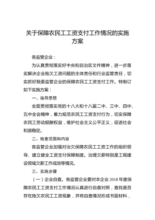 关于保障农民工工资支付工作情况的实施方案