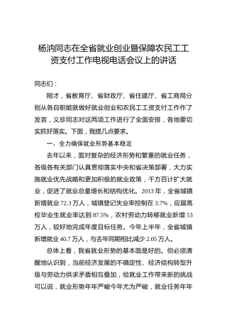 杨汭：在全省就业创业暨保障农民工工资支付工作电视电话会议上的讲话