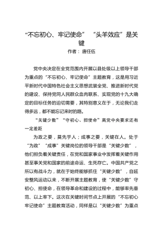 “不忘初心、牢记使命”“头羊效应”是关键