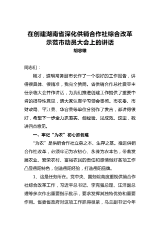 胡忠雄：在创建湖南省深化供销合作社综合改革示范市动员大会上的讲话