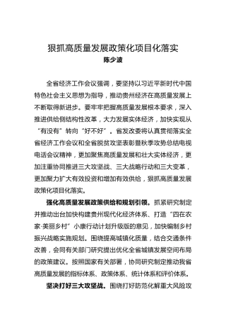 陈少波：狠抓高质量发展政策化项目化落实