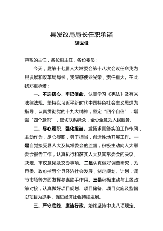 胡世俊：县发改局局长任职承诺