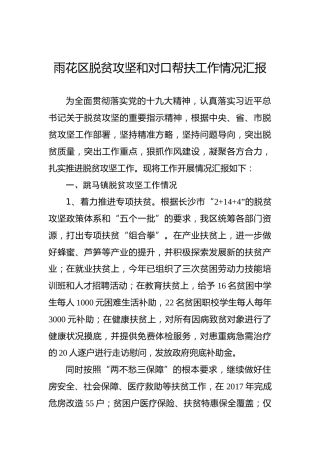 雨花区脱贫攻坚和对口帮扶工作情况汇报