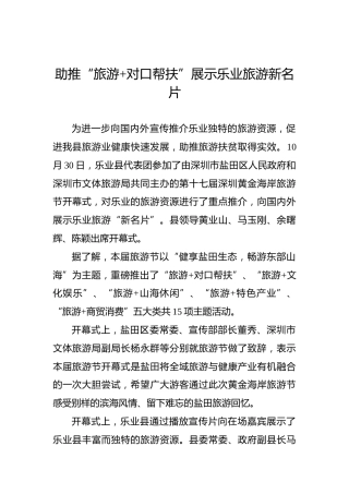 助推“旅游对口帮扶”展示乐业旅游新名片
