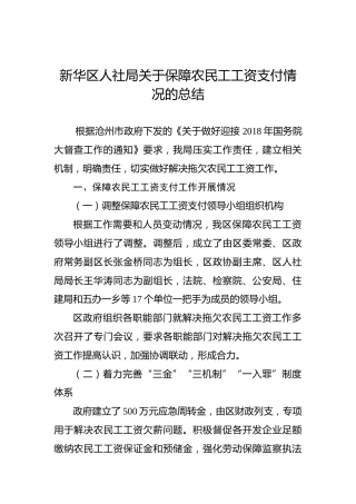 新华区人社局关于保障农民工工资支付情况的总结