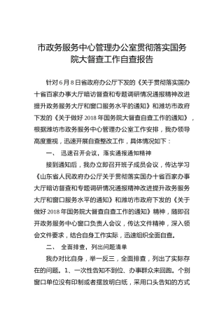 市政务服务中心管理办公室贯彻落实国务院大督查工作自查报告