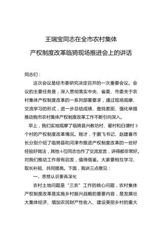王瑞宝：在全市农村集体产权制度改革临猗现场推进会上的讲话