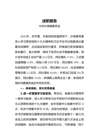 中共沙湖镇委员会述职报告