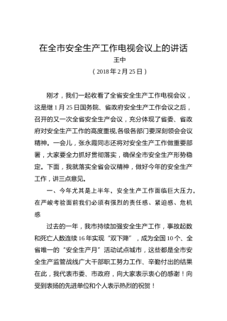 王中：在全市安全生产工作电视会议上的讲话