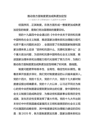 推动各方面制度更加成熟更加定型