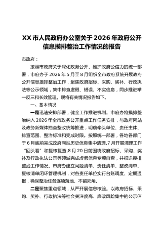 XX市人民政府办公室关于2026年政府公开信息摸排整治工作情况的报告