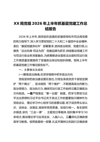 XX局党组2026年上半年抓基层党建工作总结报告
