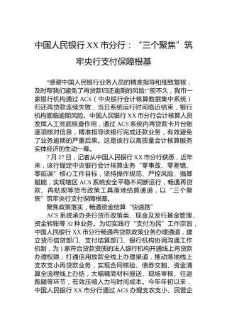 中国人民银行XX市分行：“三个聚焦”筑牢央行支付保障根基
