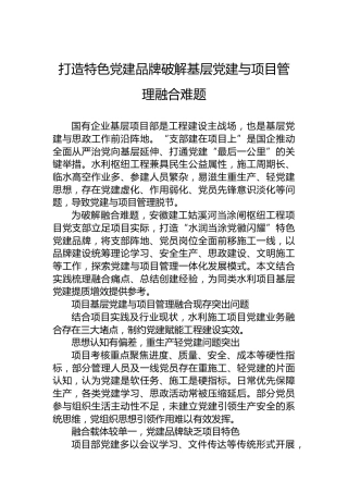 打造特色党建品牌破解基层党建与项目管理融合难题