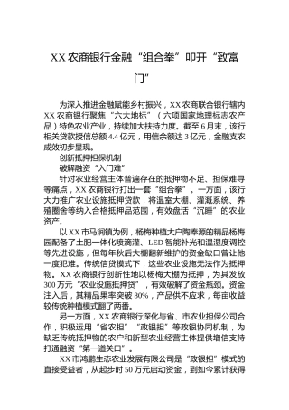 XX农商银行金融“组合拳”叩开“致富门”