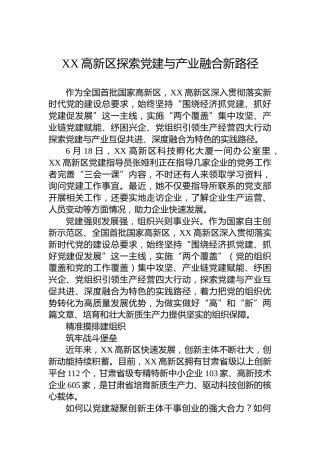 XX高新区探索党建与产业融合新路径