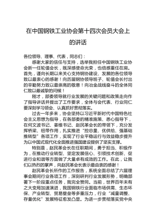 在中国钢铁工业协会第十四次会员大会上的讲话