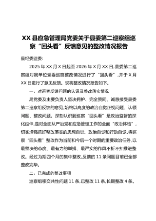 XX县应急管理局党委关于县委第二巡察组巡察“回头看”反馈意见的整改情况报告