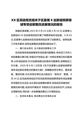 XX区民政局党组关于区委第X巡察组殡葬领域专项巡察整改进展情况的报告