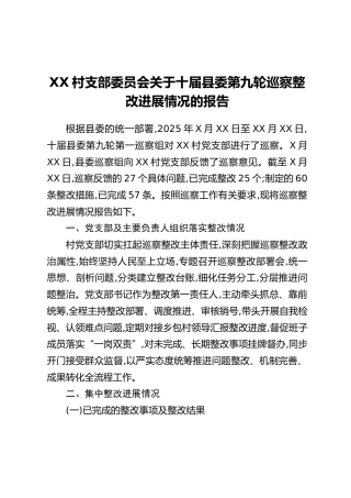 XX村支部委员会关于十届县委第九轮巡察整改进展情况的报告