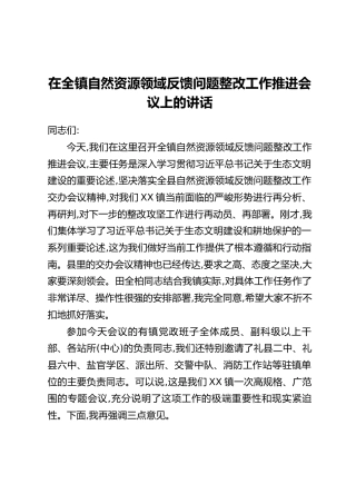 在全镇自然资源领域反馈问题整改工作推进会议上的讲话_1