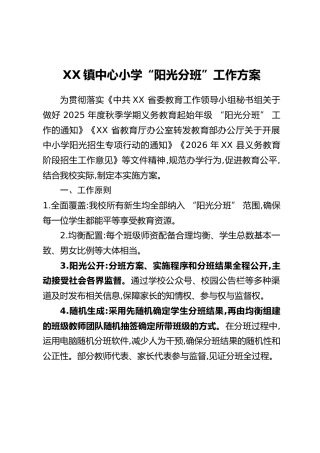 XX镇中心小学 “阳光分班” 工作方案