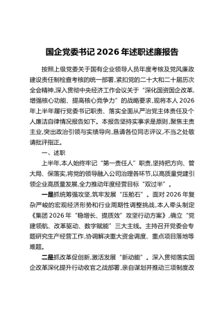 国企党委书记2026年述职述廉报告
