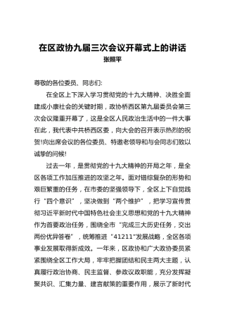 张照平：在区政协九届三次会议开幕式上的讲话
