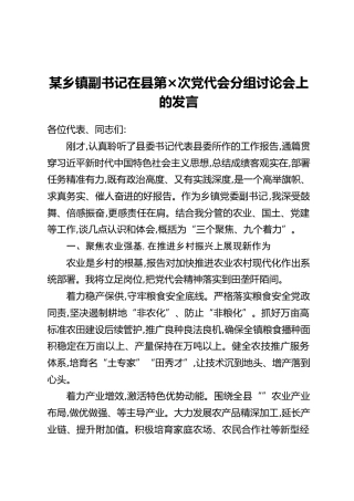 某乡镇副书记在县第X次党代会分组讨论会上的发言