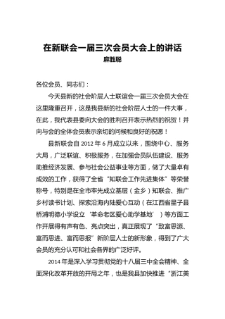 麻胜聪：在新联会一届三次会员大会上的讲话