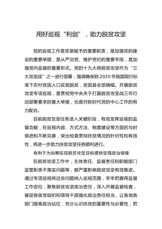 用好巡视“利剑”，助力脱贫攻坚